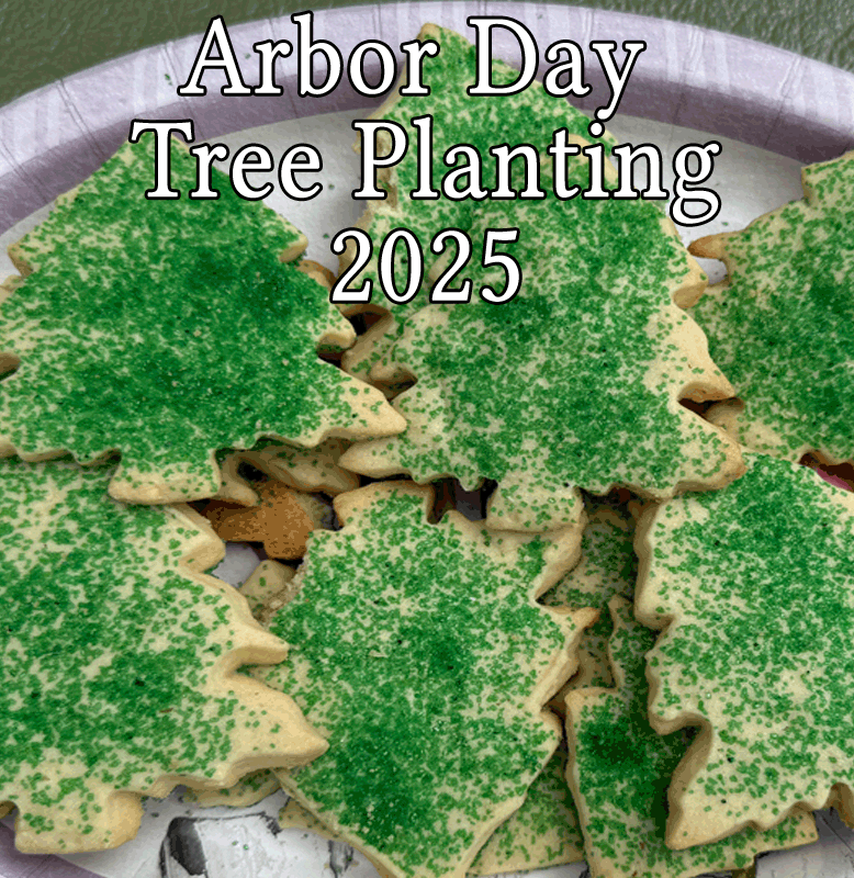 Arbor Day cookies shared at tree planting gallery header