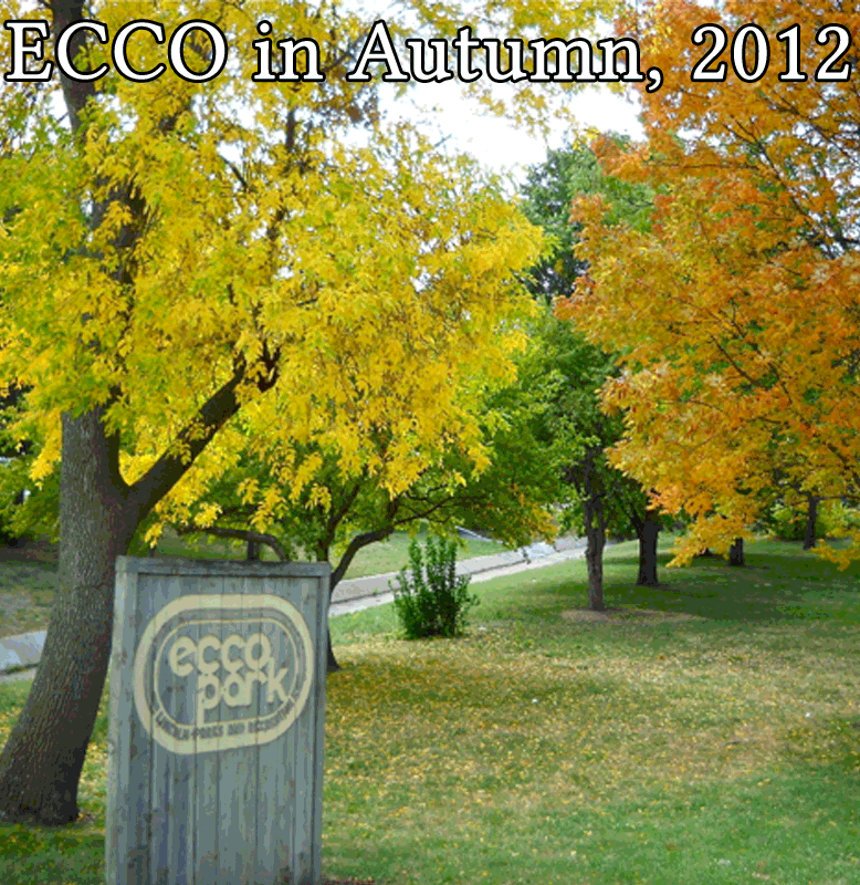 ECCO in Autumn 2012 photo header - ECCO Park with fall colors