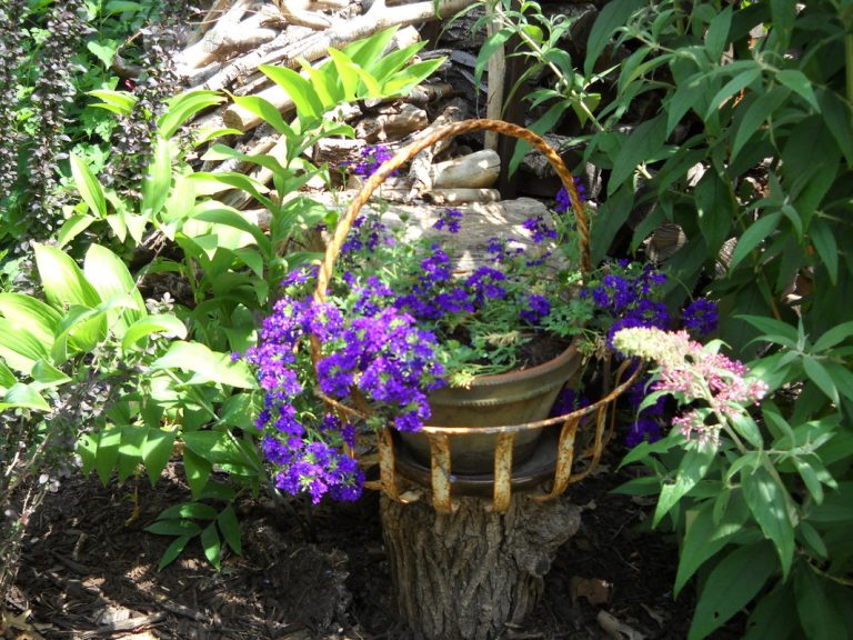 Flower basket and wood habitat, East Campus