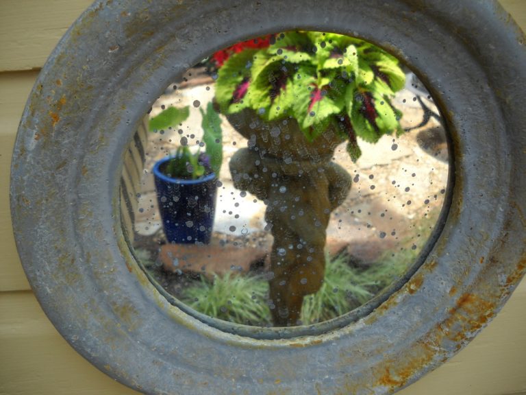 Mirror reflecting container planting of geranium and coleus
