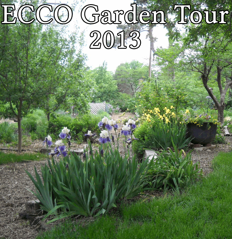 Garden Tour 2013 photos header - path with irises