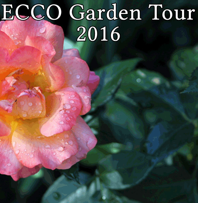 Garden Tour 2016 photos header - pink and yellow rose