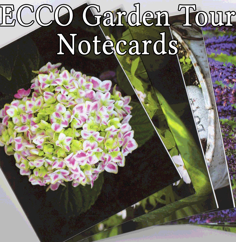 Garden Tour notecards sphotos header - cards featuring ECCO flora