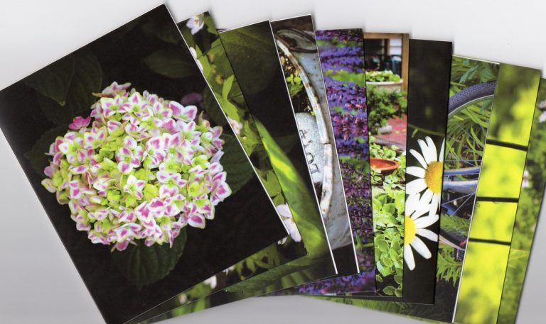 ECCO Garden Tour notecards: Notecards spread out