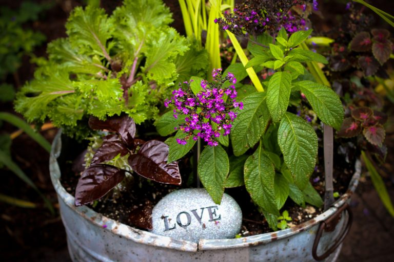 ECCO Garden Tour notecards: mixed planting container