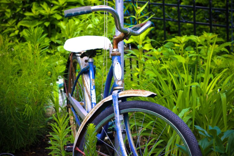 ECCO Garden Tour notecards: vintage bicycle in tall hedge