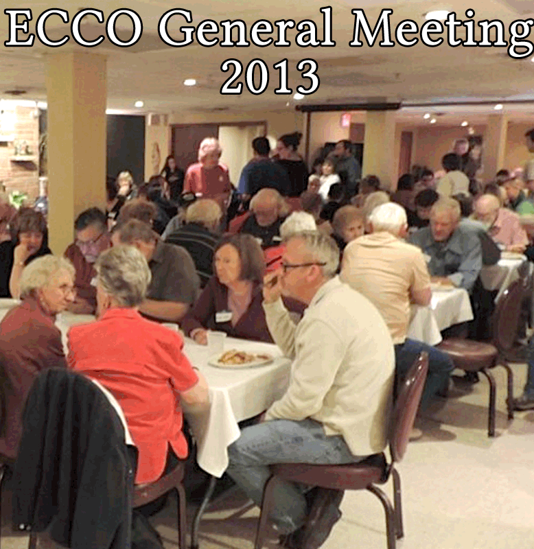 General Meeting 2013 photos header - people at tables in a restaurant